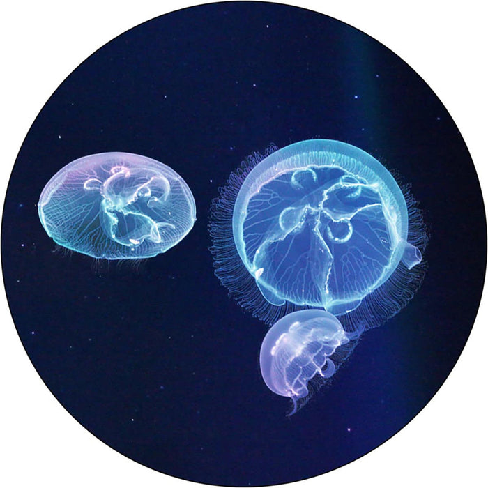 Jellyfish Art Nano Moon Jellyfish (3 Pack) Small