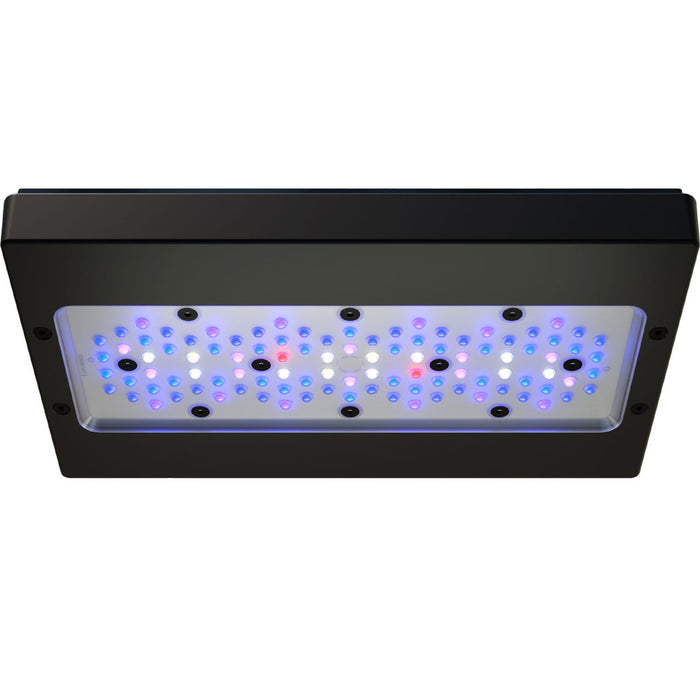 EcoTech Marine Radion G6 XR30 Blue LED Light