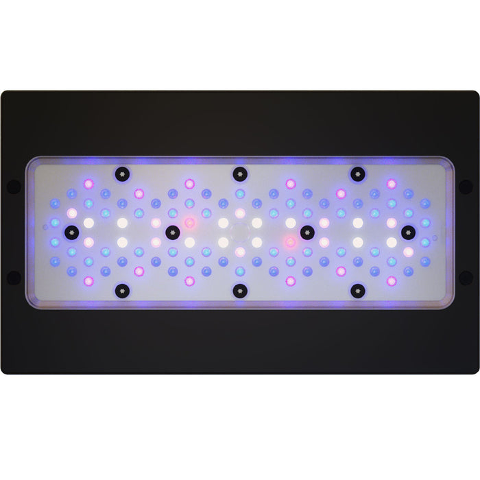 EcoTech Marine Radion G6 XR30 Blue LED Light