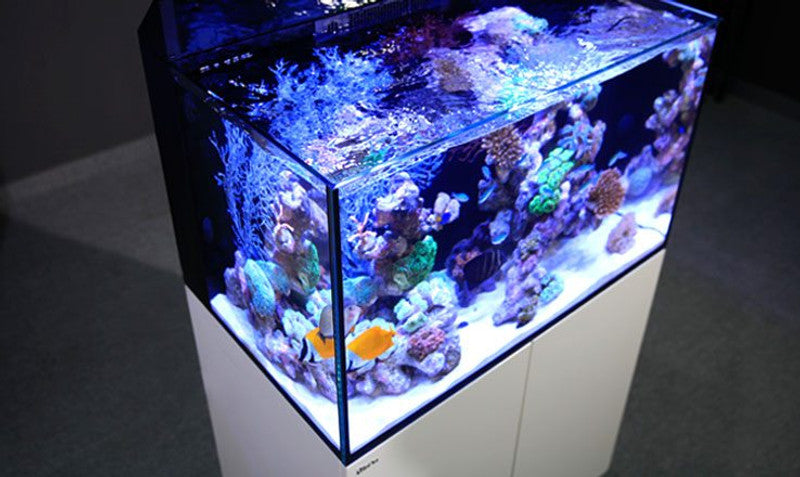 Red Sea Max E 260 - 69 Gallon White Complete Reef System