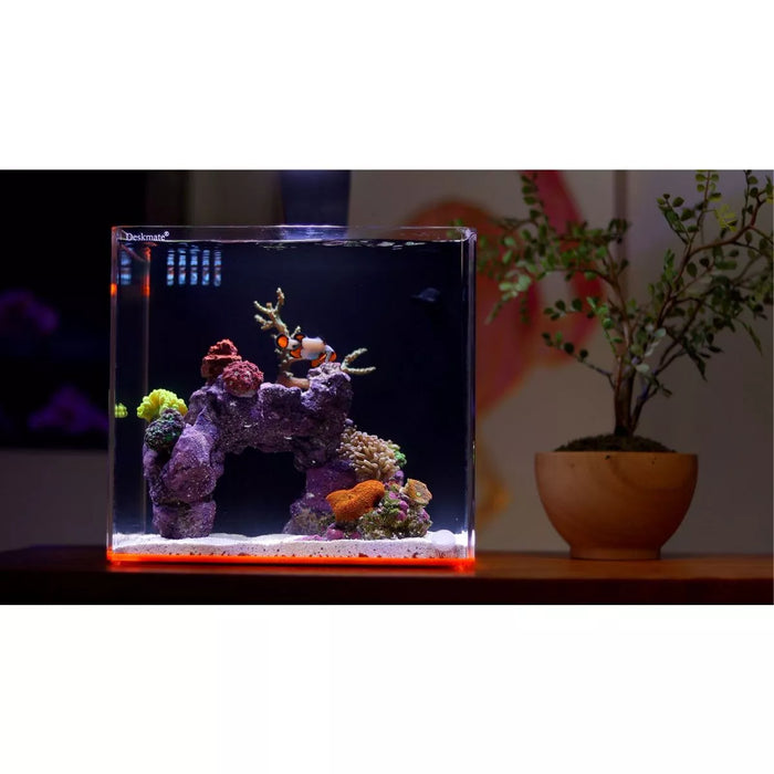 Bulk Reef Supply DeskMate 4.8 Gallon AIO Nano Tank Bundle