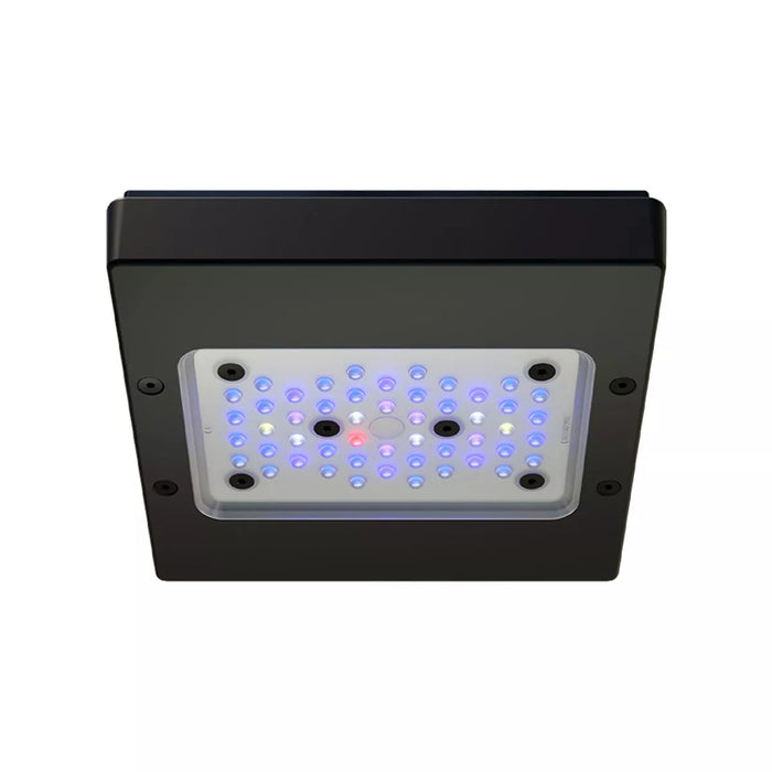 EcoTech Marine Radion G6 XR15 Blue LED Light