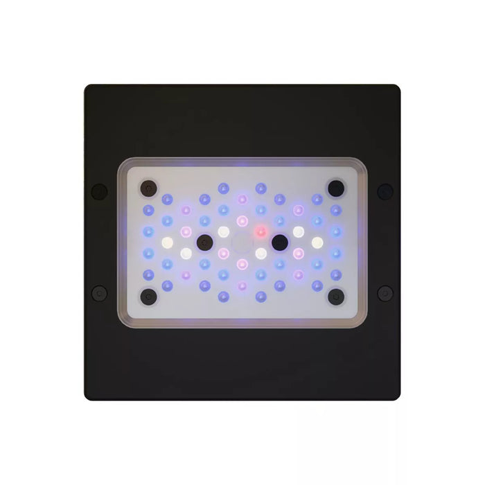 EcoTech Marine Radion G6 XR15 Blue LED Light