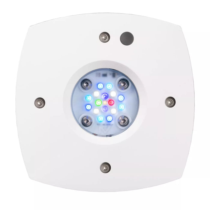 AquaIllumination Prime 16 HD LED Reef Light - White Body