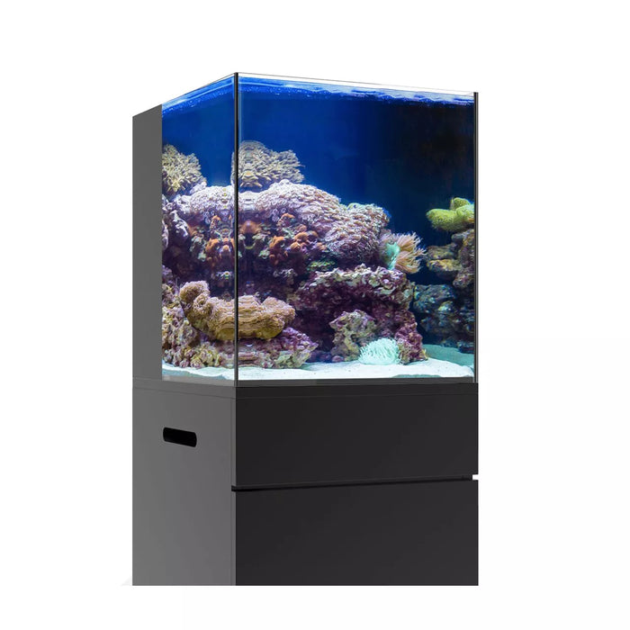 JBJ 15 Gallon Nano Rimless AIO Aquarium